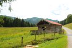 2014-07-05_Laengental-N-Hochweg (279). JPG